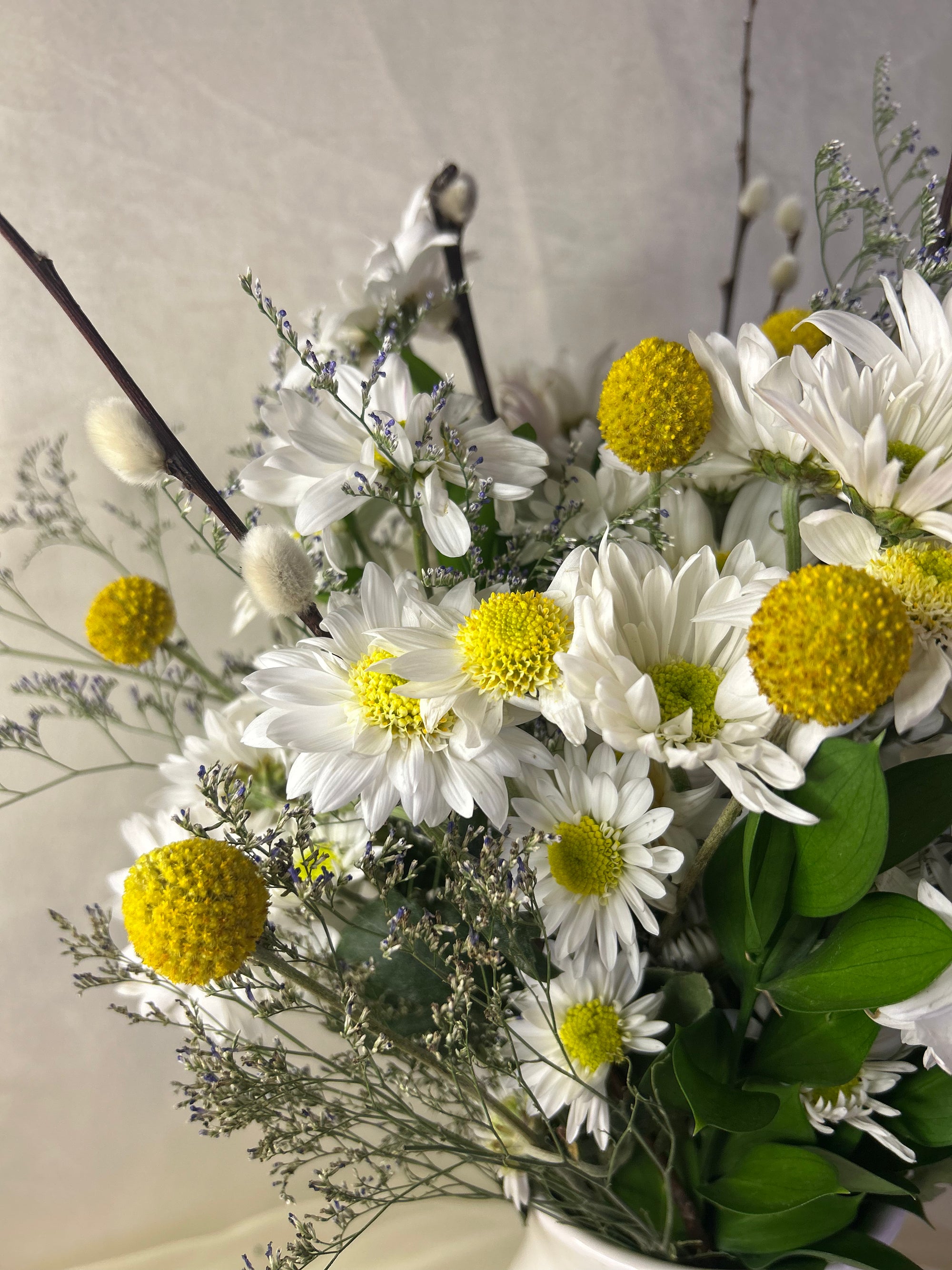 Primavera